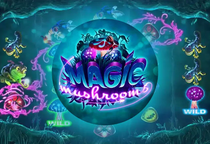 Alle verfügbaren Zahlungsmittel im Baxterbet Online Casino